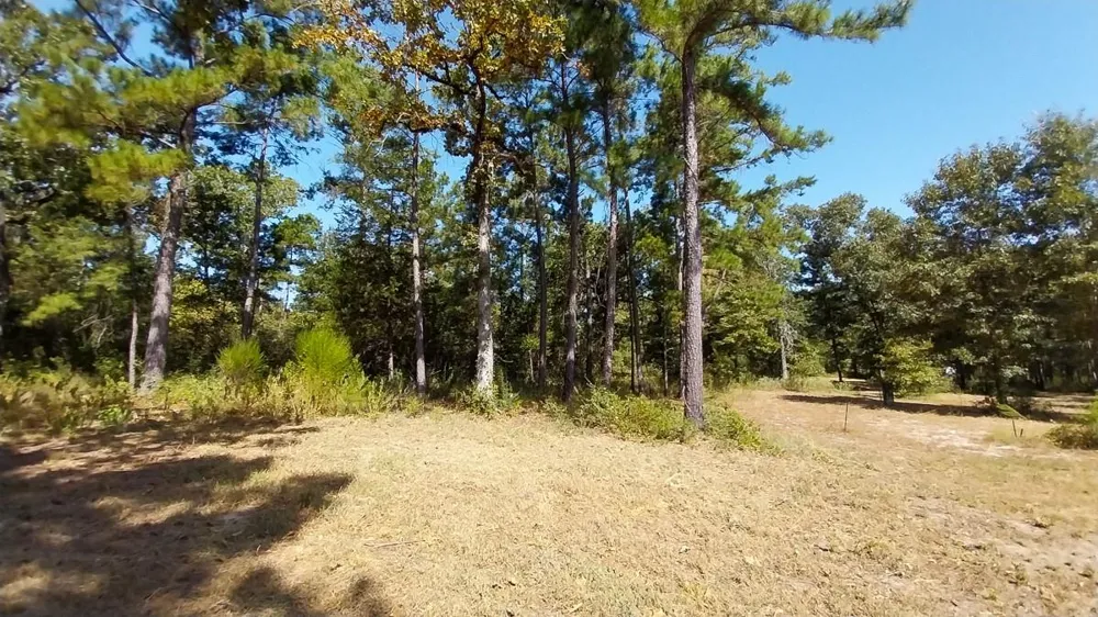 134 Cedar Ridge Huntsville, TX 77320
