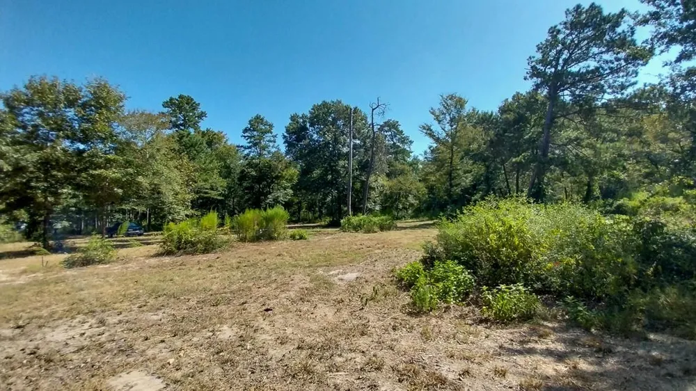 134 Cedar Ridge Huntsville, TX 77320