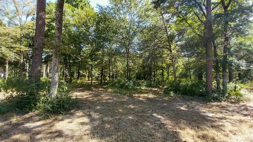 134 Cedar Ridge Huntsville, TX 77320