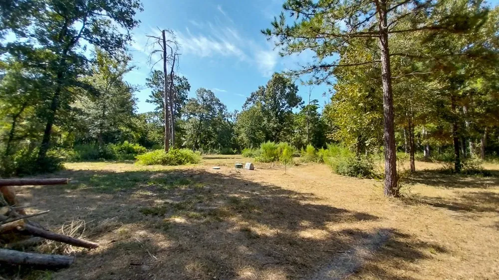 134 Cedar Ridge Huntsville, TX 77320