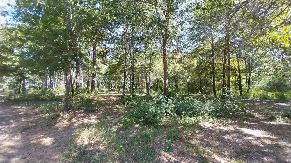 134 Cedar Ridge Huntsville, TX 77320