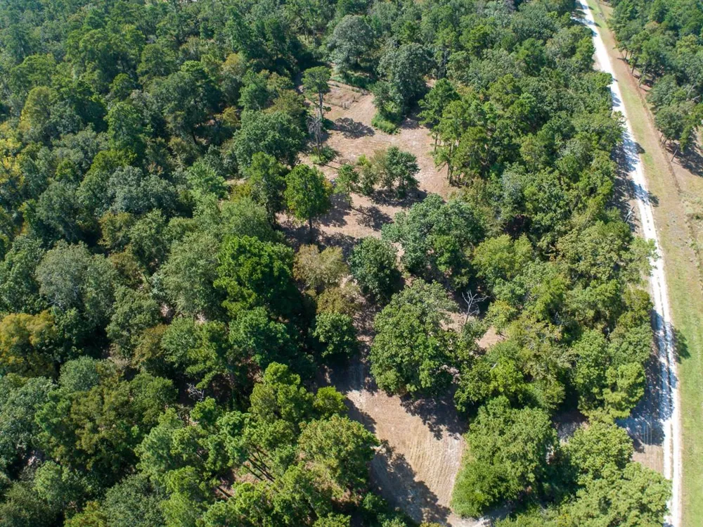 134 Cedar Ridge Huntsville, TX 77320