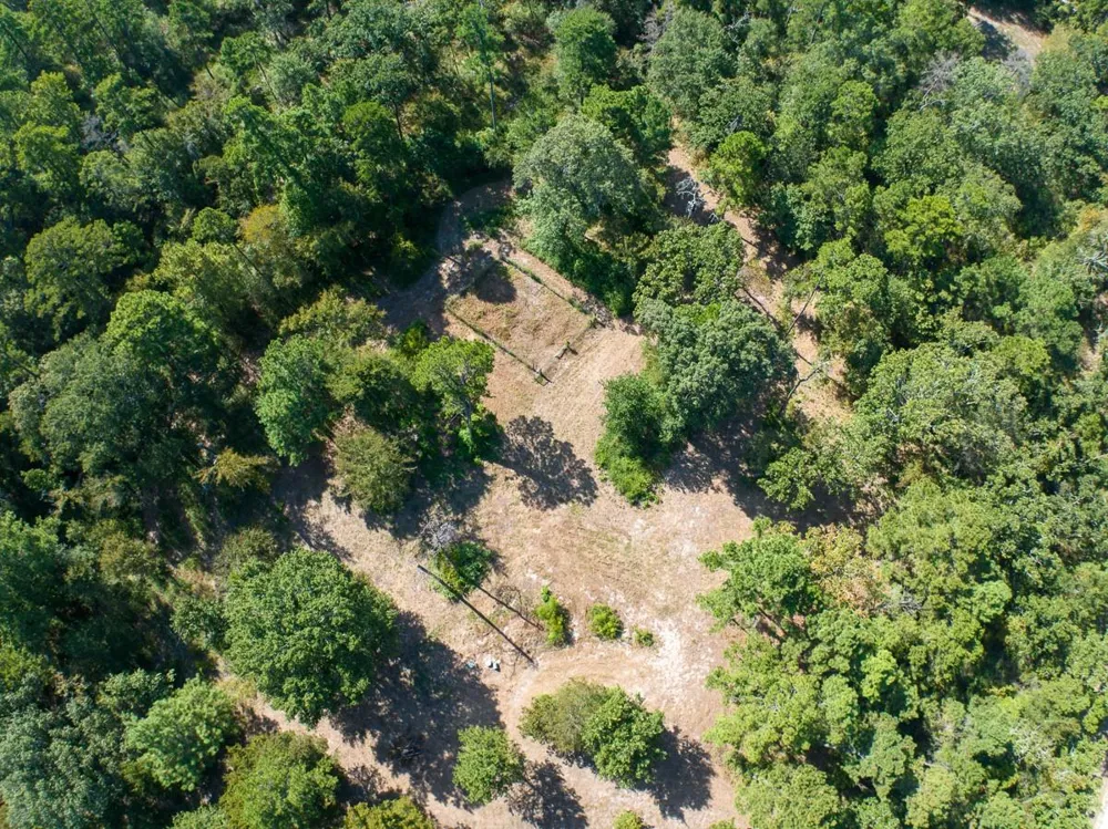 134 Cedar Ridge Huntsville, TX 77320