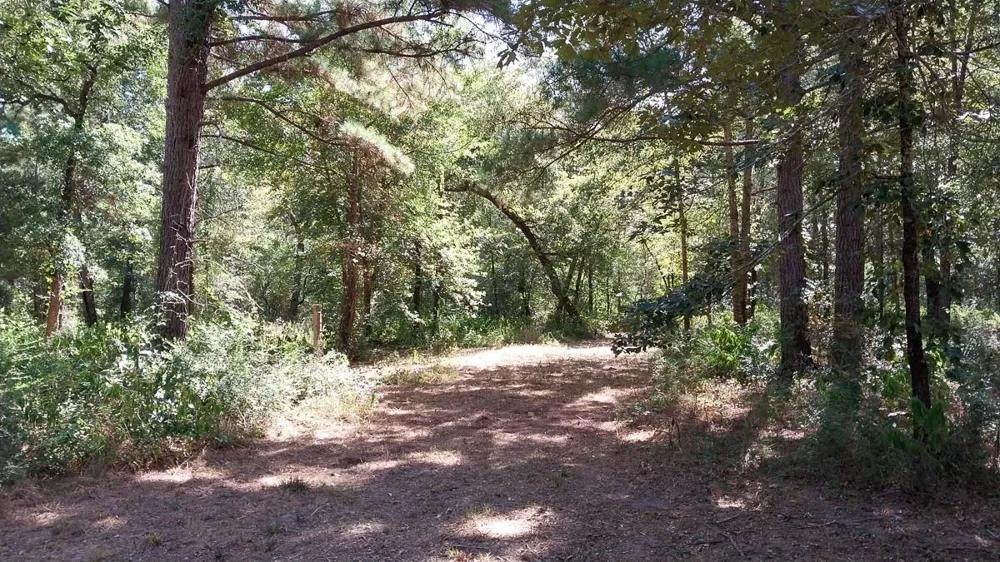 134 Cedar Ridge Huntsville, TX 77320