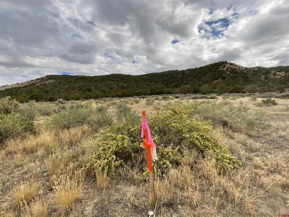 22 7250 ROAD Montrose, CO 81403