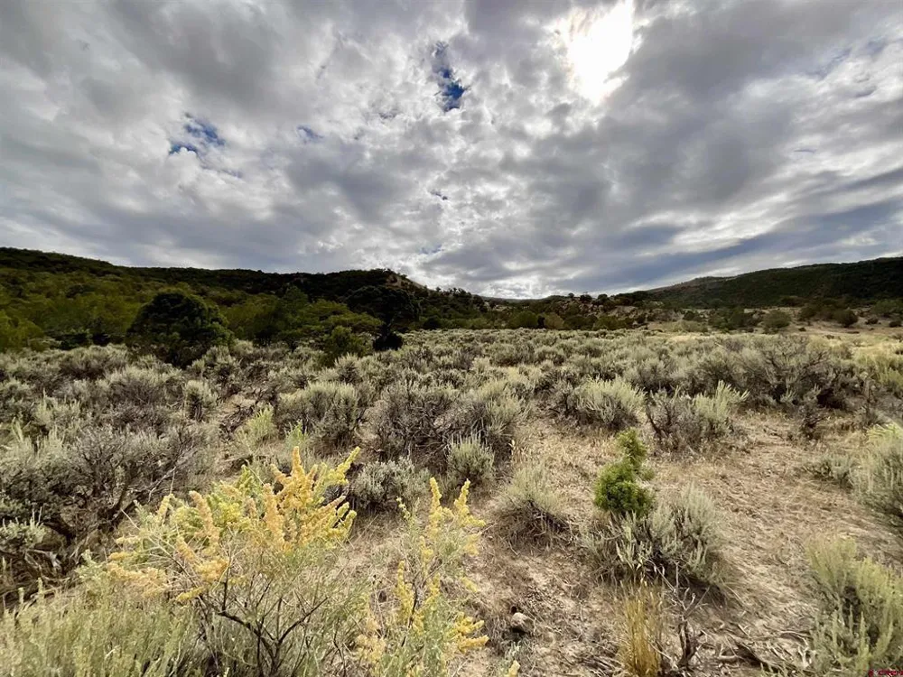 22 7250 ROAD Montrose, CO 81403