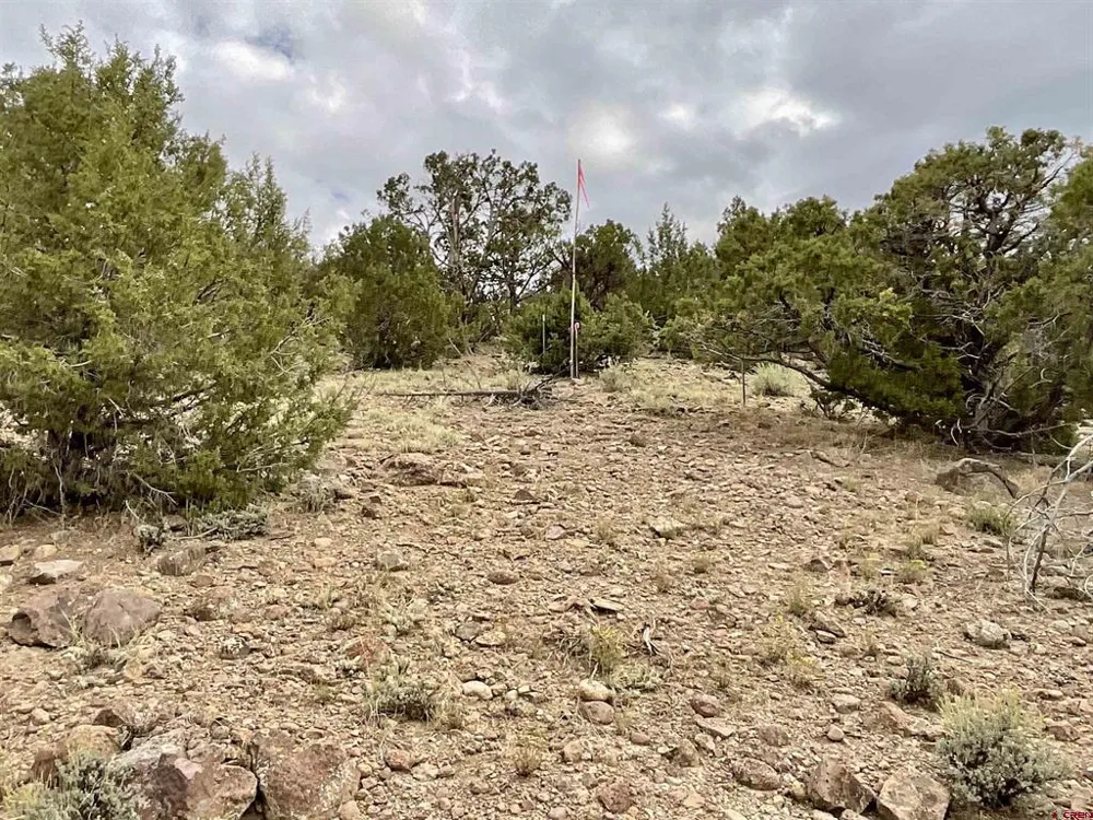 22 7250 ROAD Montrose, CO 81403