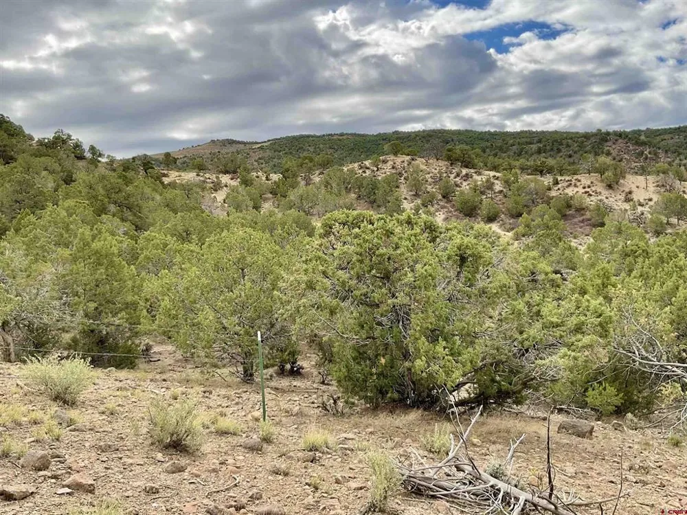 22 7250 ROAD Montrose, CO 81403