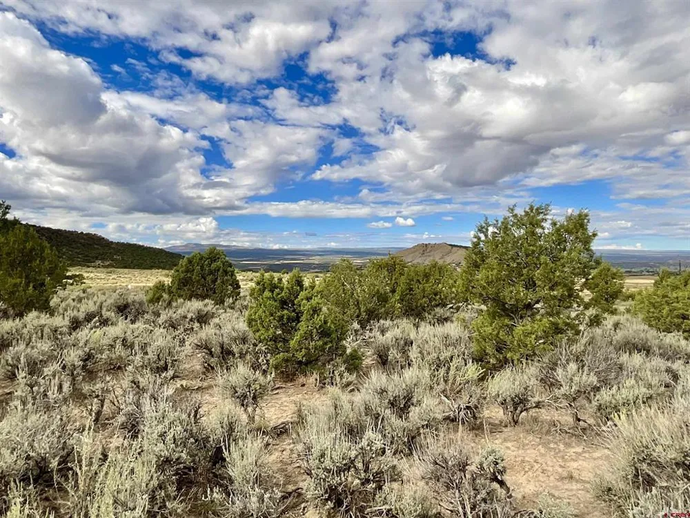 22 7250 ROAD Montrose, CO 81403