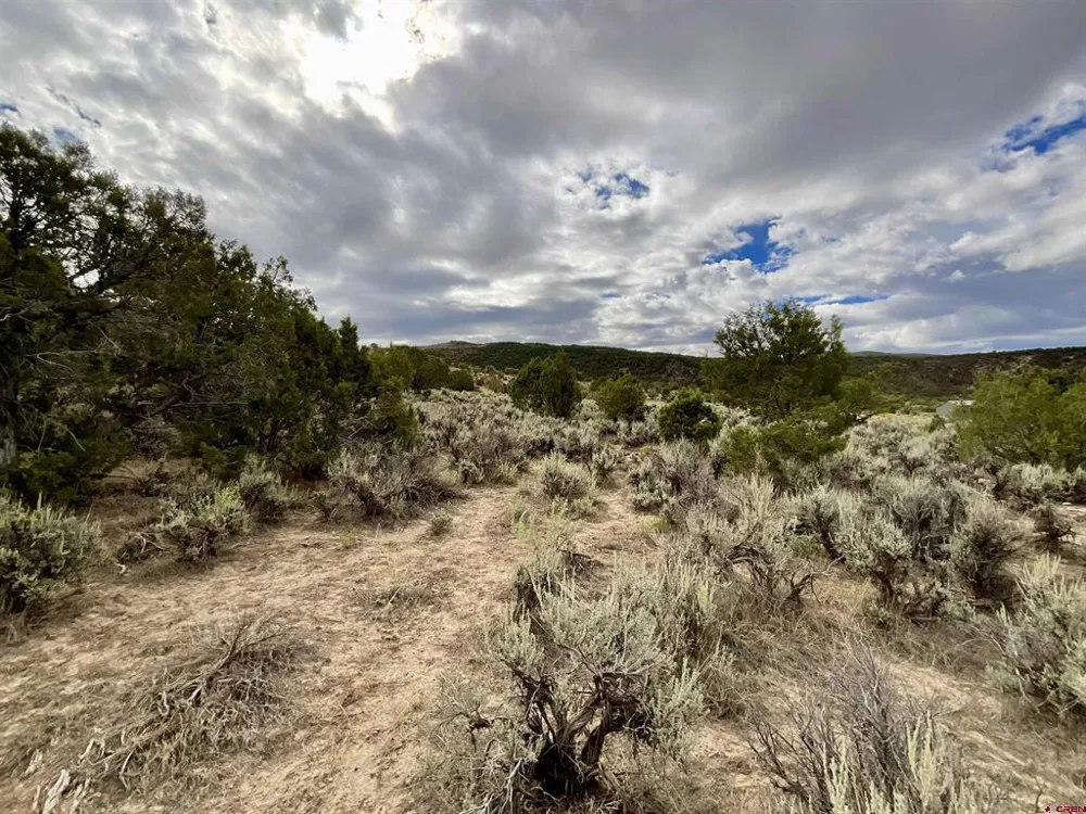 22 7250 ROAD Montrose, CO 81403
