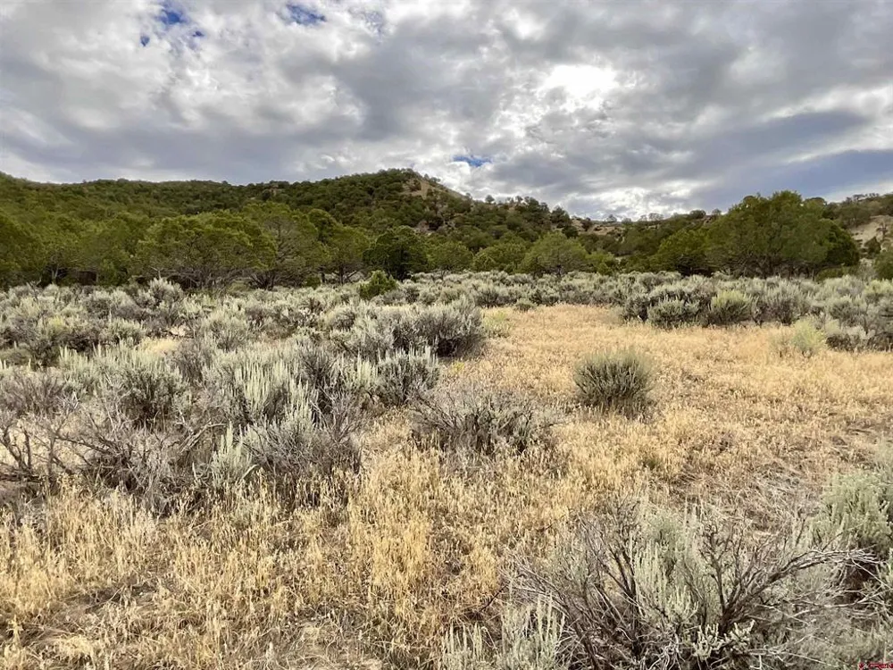 22 7250 ROAD Montrose, CO 81403