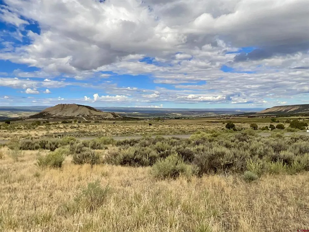 22 7250 ROAD Montrose, CO 81403