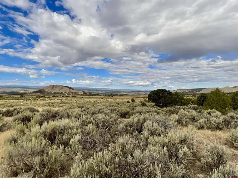 22 7250 ROAD Montrose, CO 81403