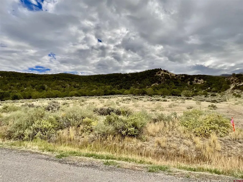 22 7250 ROAD Montrose, CO 81403