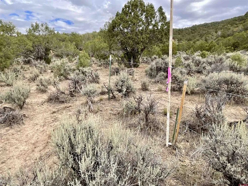22 7250 ROAD Montrose, CO 81403