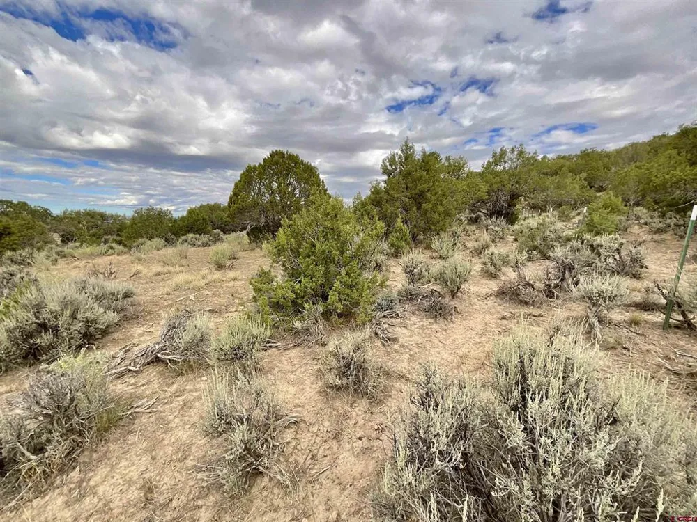 22 7250 ROAD Montrose, CO 81403