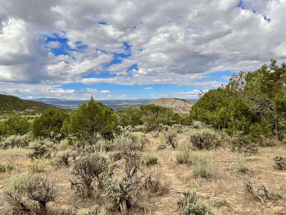 22 7250 ROAD Montrose, CO 81403