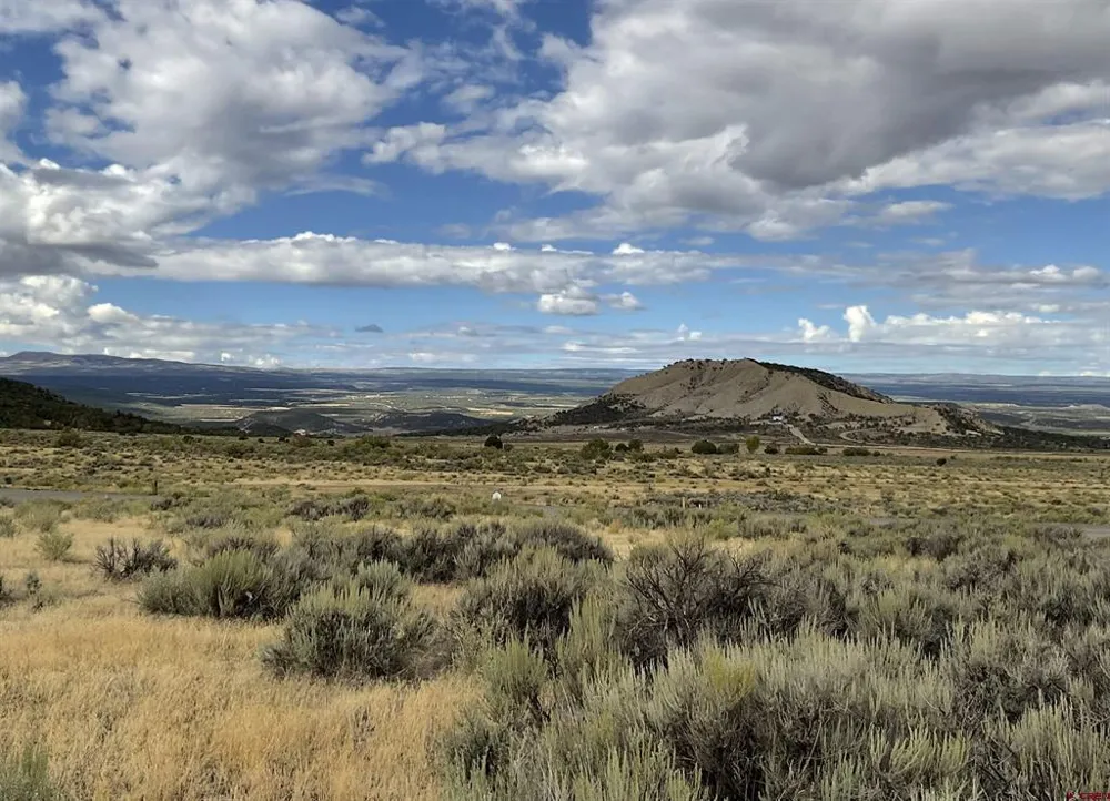 22 7250 ROAD Montrose, CO 81403