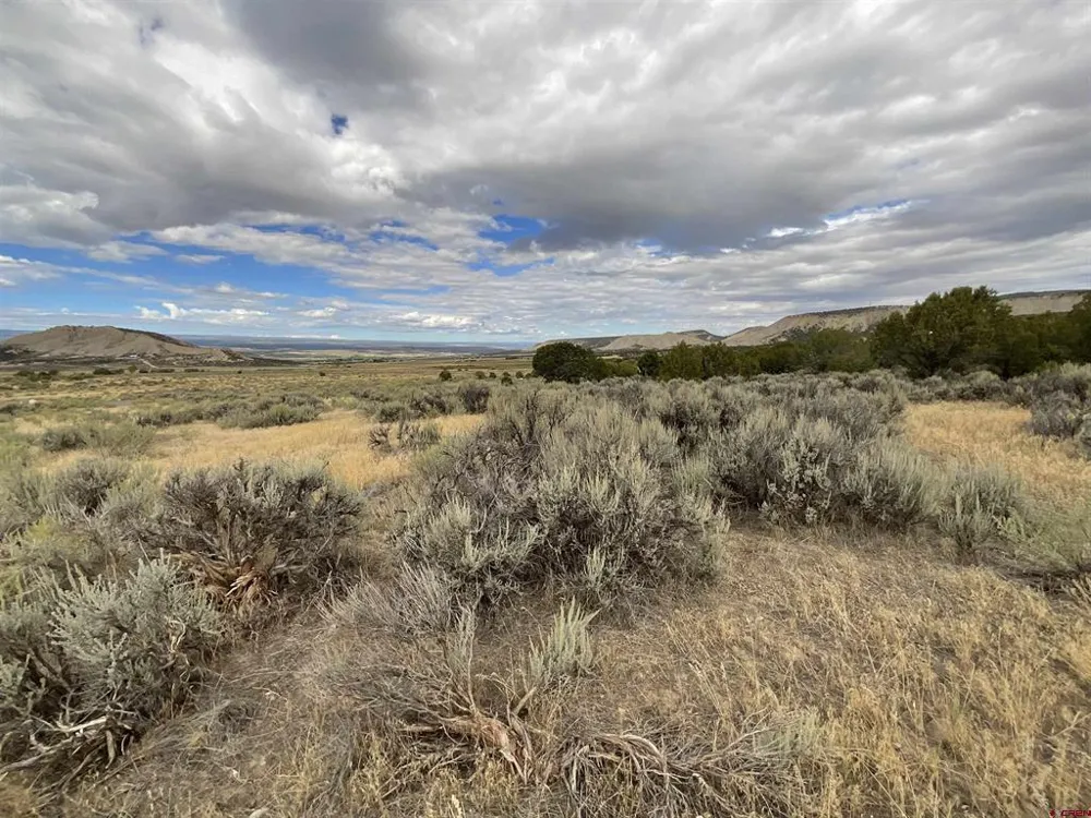 22 7250 ROAD Montrose, CO 81403
