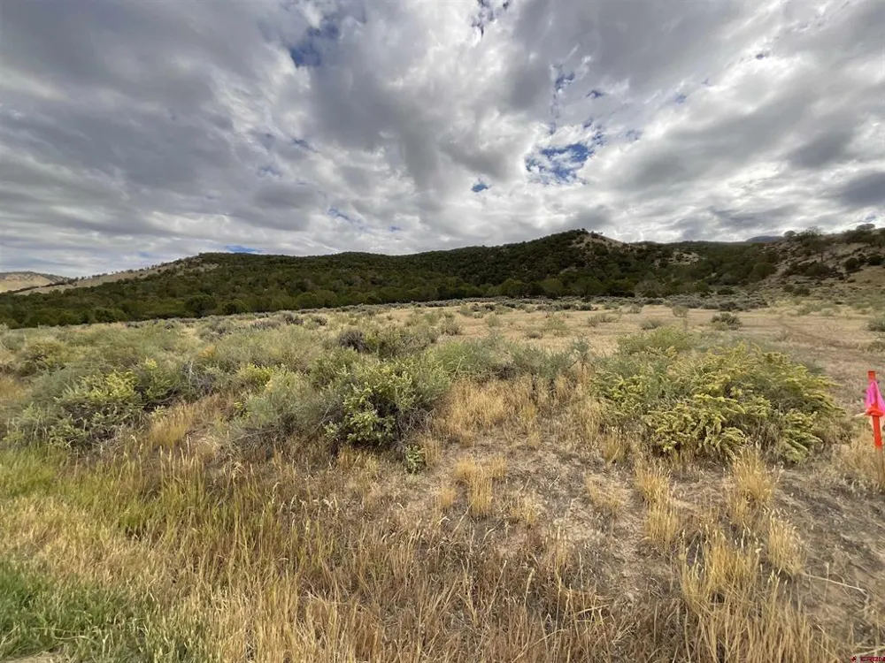 22 7250 ROAD Montrose, CO 81403