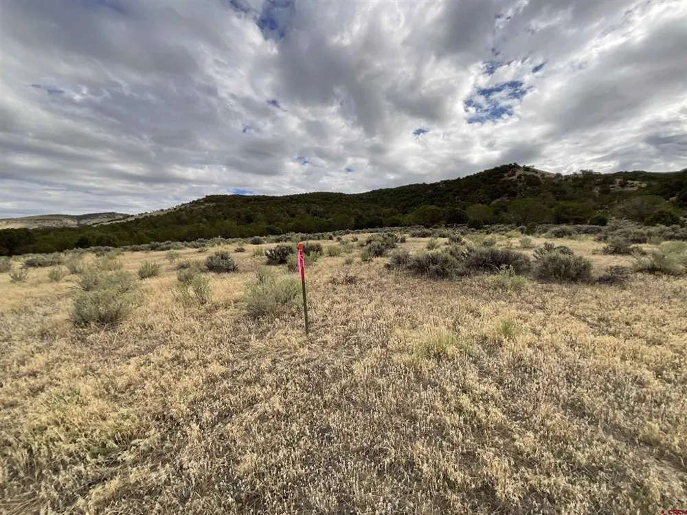 22 7250 ROAD Montrose, CO 81403