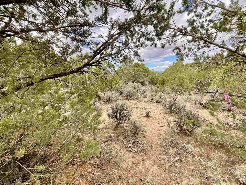 22 7250 ROAD Montrose, CO 81403