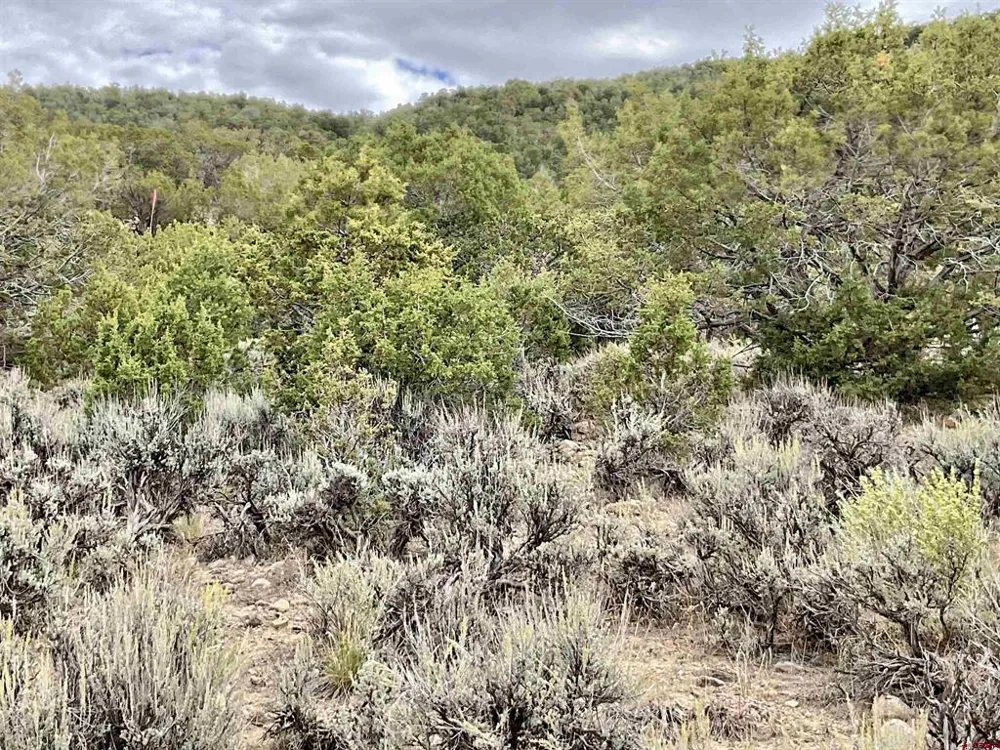 22 7250 ROAD Montrose, CO 81403