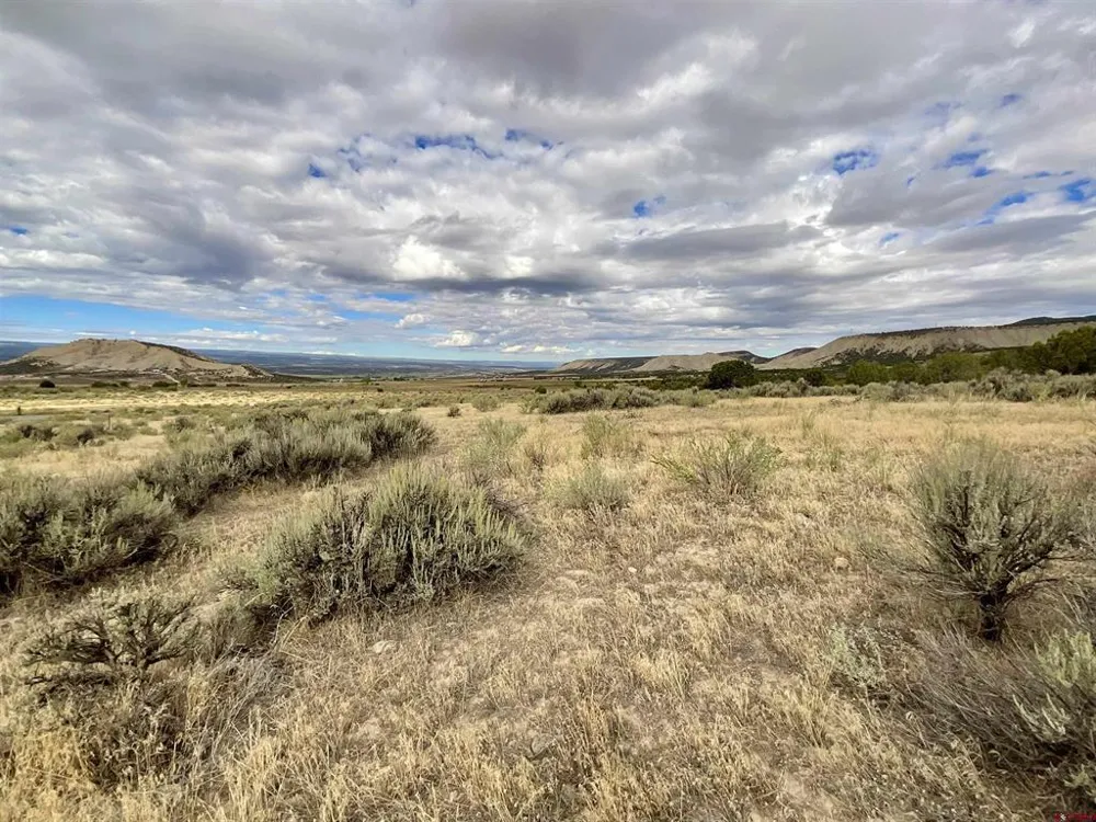22 7250 ROAD Montrose, CO 81403