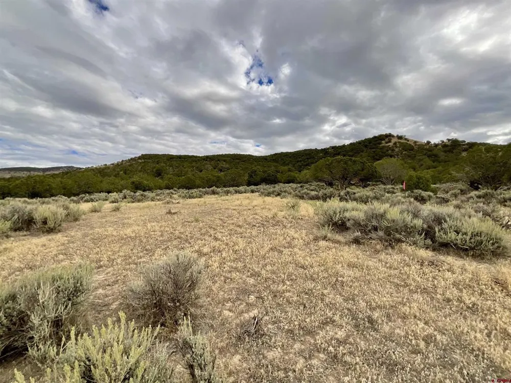 22 7250 ROAD Montrose, CO 81403