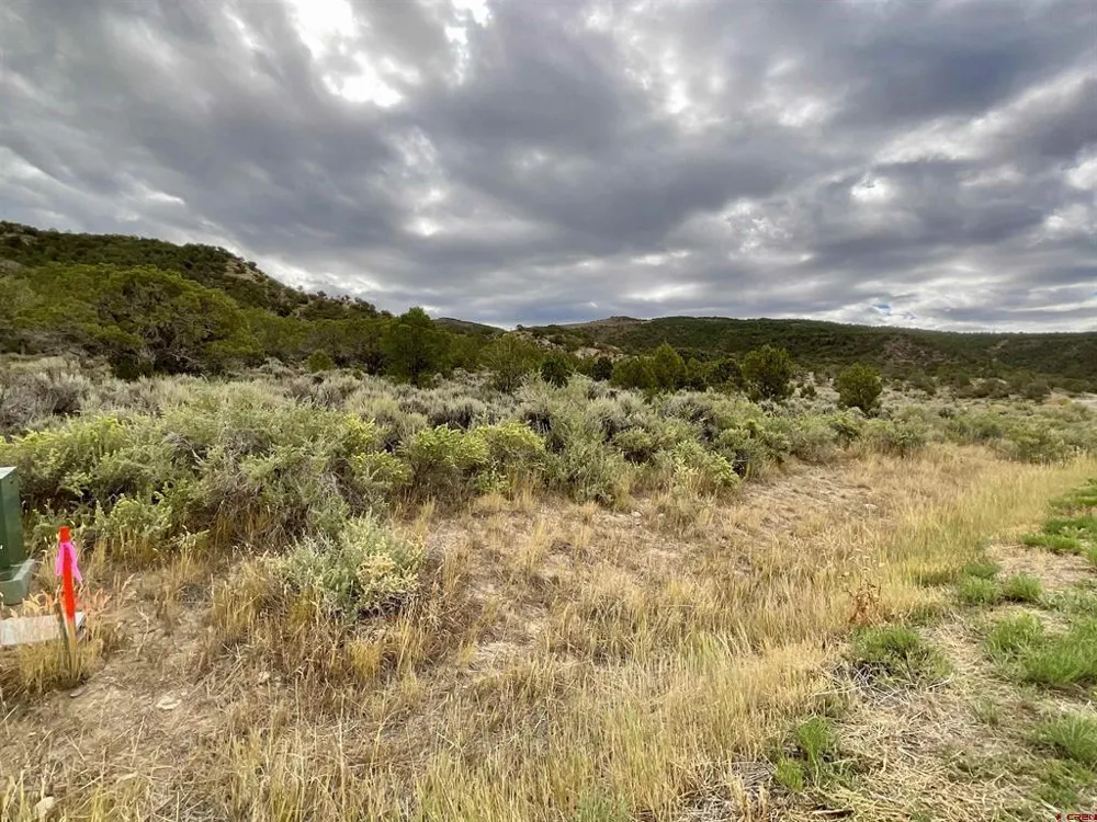 22 7250 ROAD Montrose, CO 81403