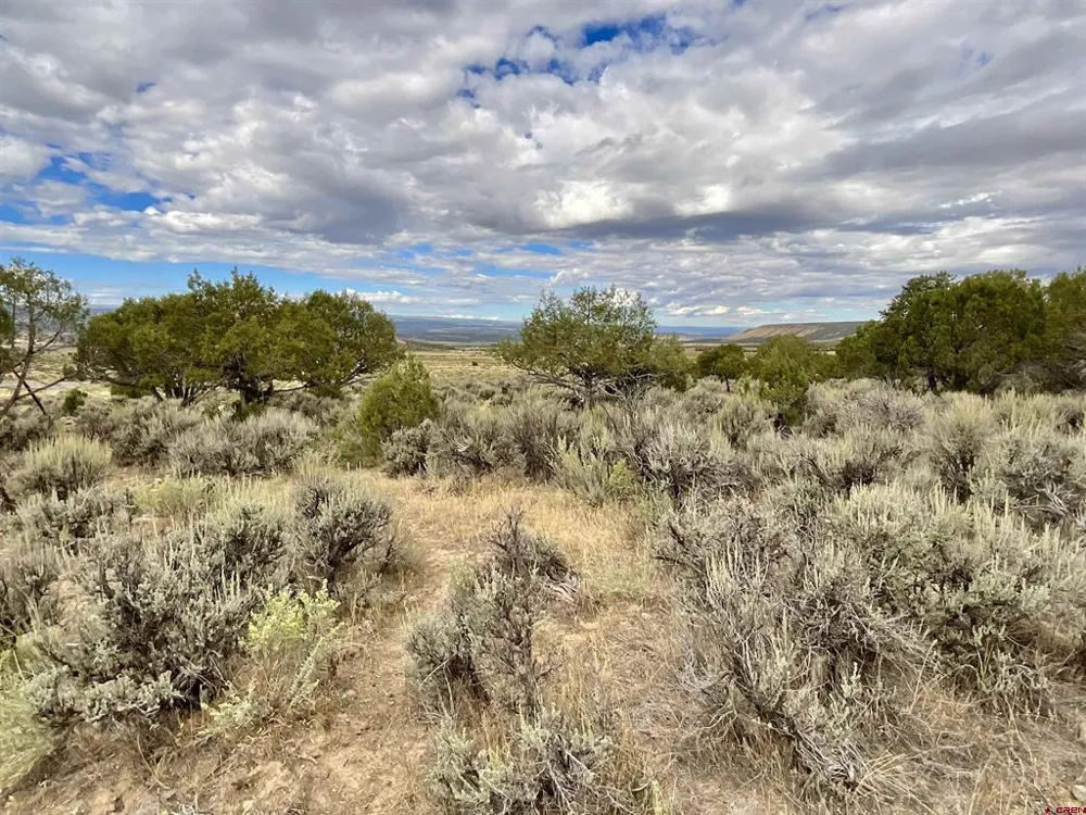 22 7250 ROAD Montrose, CO 81403