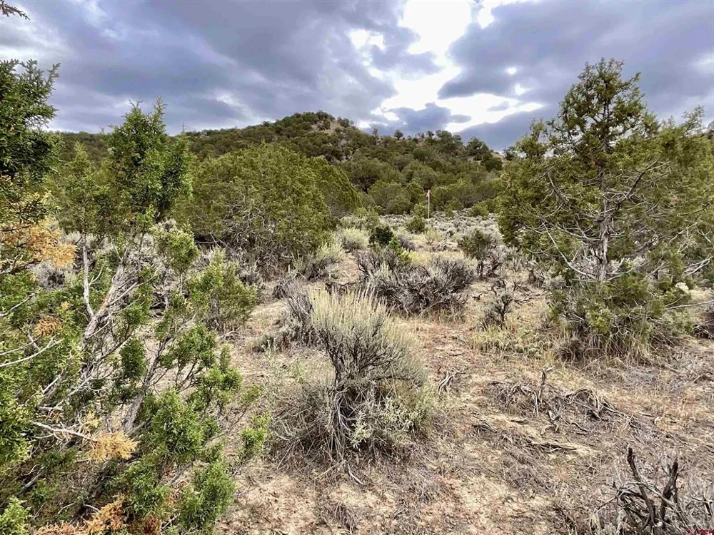 22 7250 ROAD Montrose, CO 81403