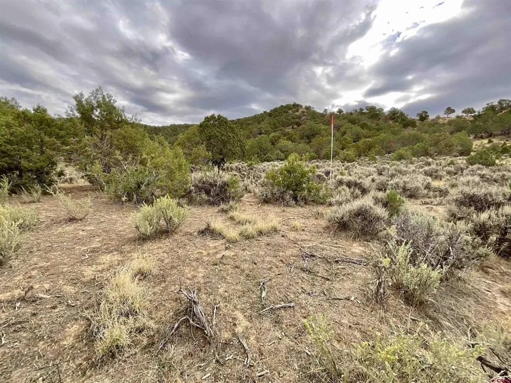 22 7250 ROAD Montrose, CO 81403
