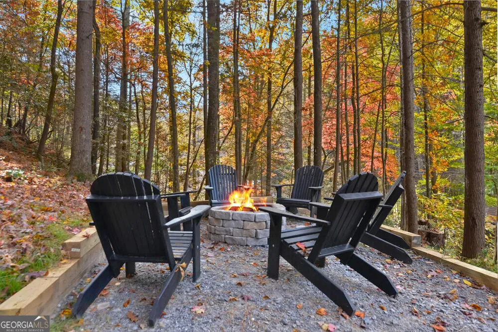 861 Little Rock Creek RD Cherry Log, GA 30522