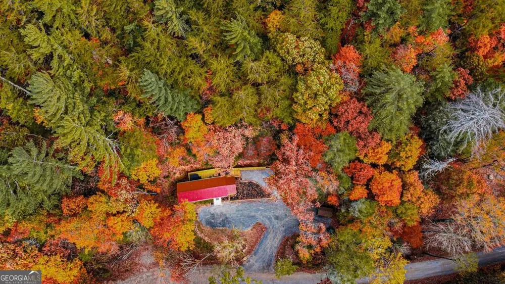 861 Little Rock Creek RD Cherry Log, GA 30522