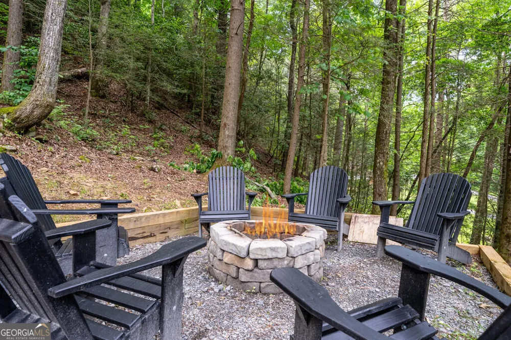 861 Little Rock Creek RD Cherry Log, GA 30522