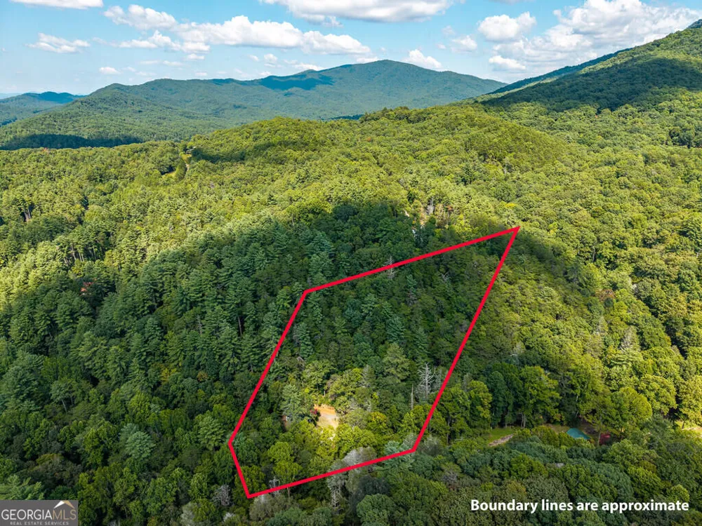 861 Little Rock Creek RD Cherry Log, GA 30522