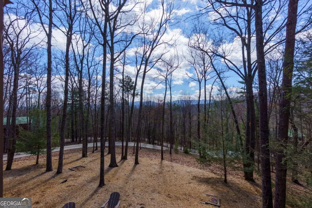 494 Lower Prince Mountain RD Cherry Log, GA 30522