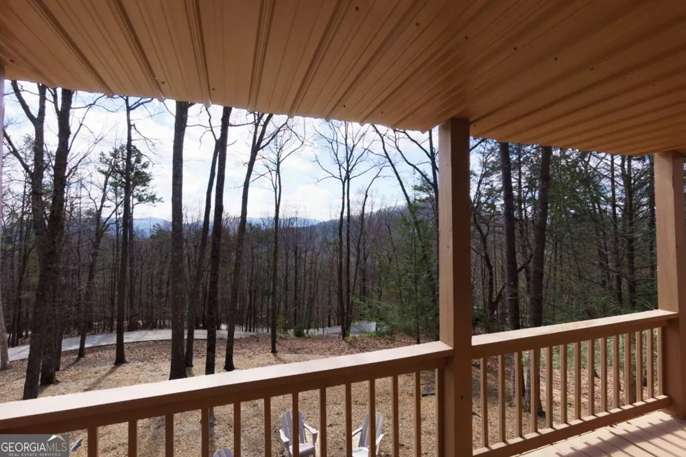 494 Lower Prince Mountain RD Cherry Log, GA 30522