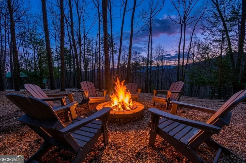 494 Lower Prince Mountain RD Cherry Log, GA 30522