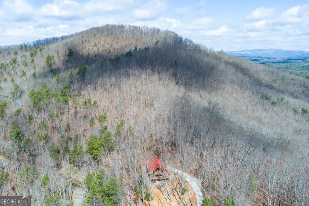 494 Lower Prince Mountain RD Cherry Log, GA 30522