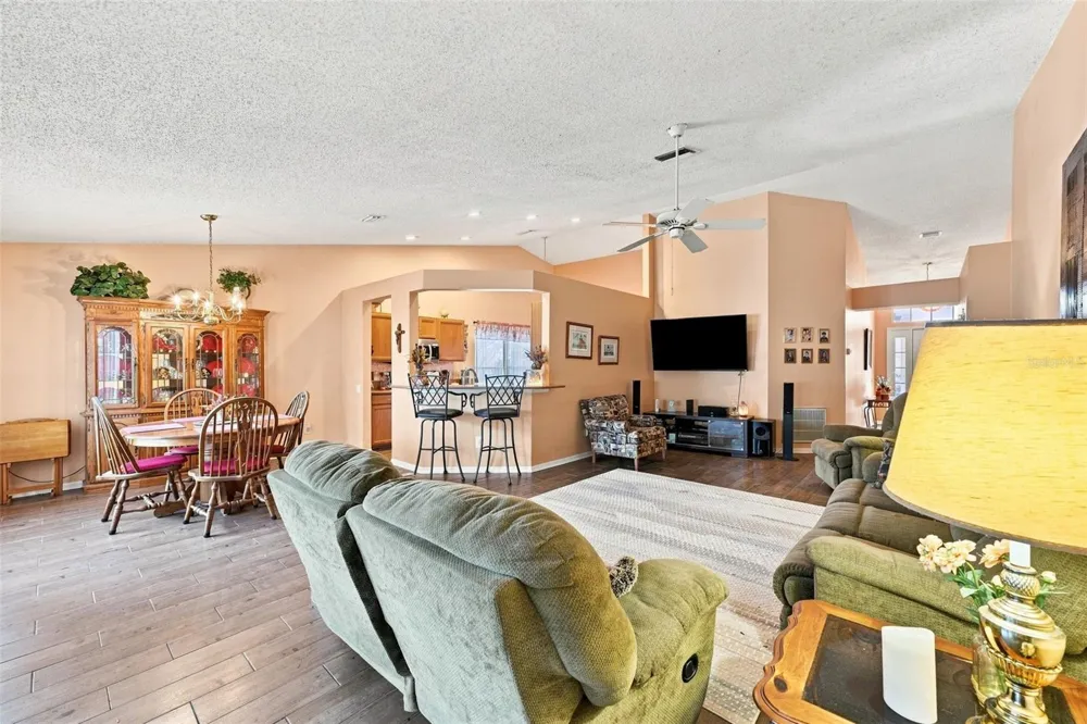 207 LAKEWAY LANE Apollo Beach, FL 33572