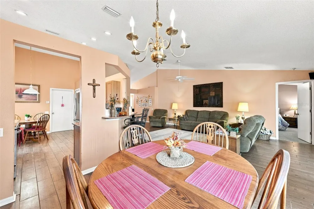 207 LAKEWAY LANE Apollo Beach, FL 33572