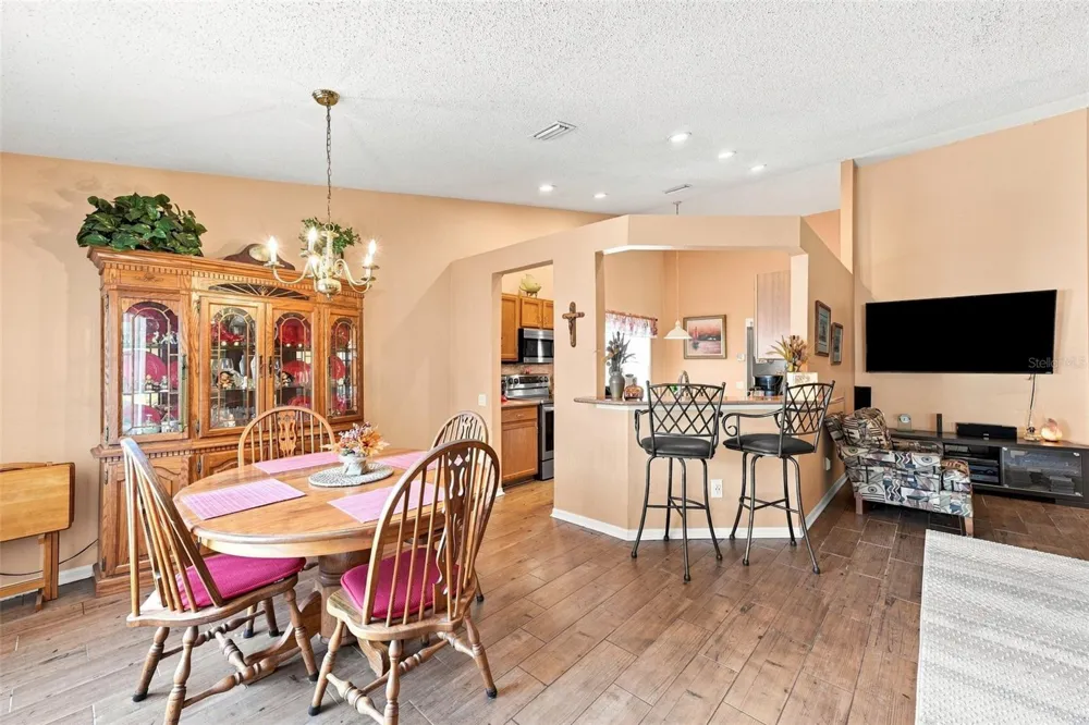 207 LAKEWAY LANE Apollo Beach, FL 33572