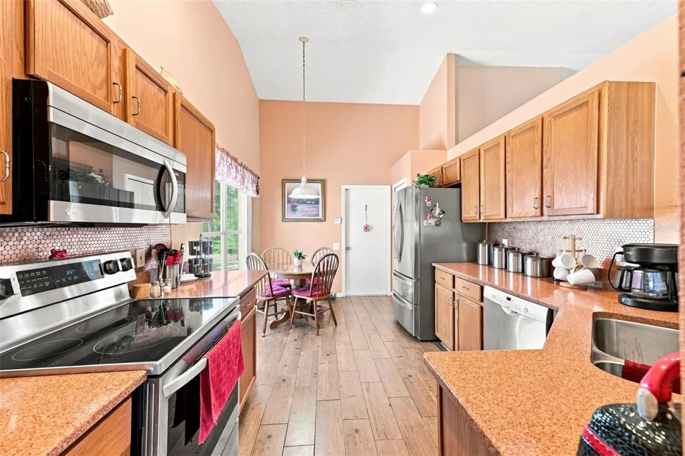 207 LAKEWAY LANE Apollo Beach, FL 33572