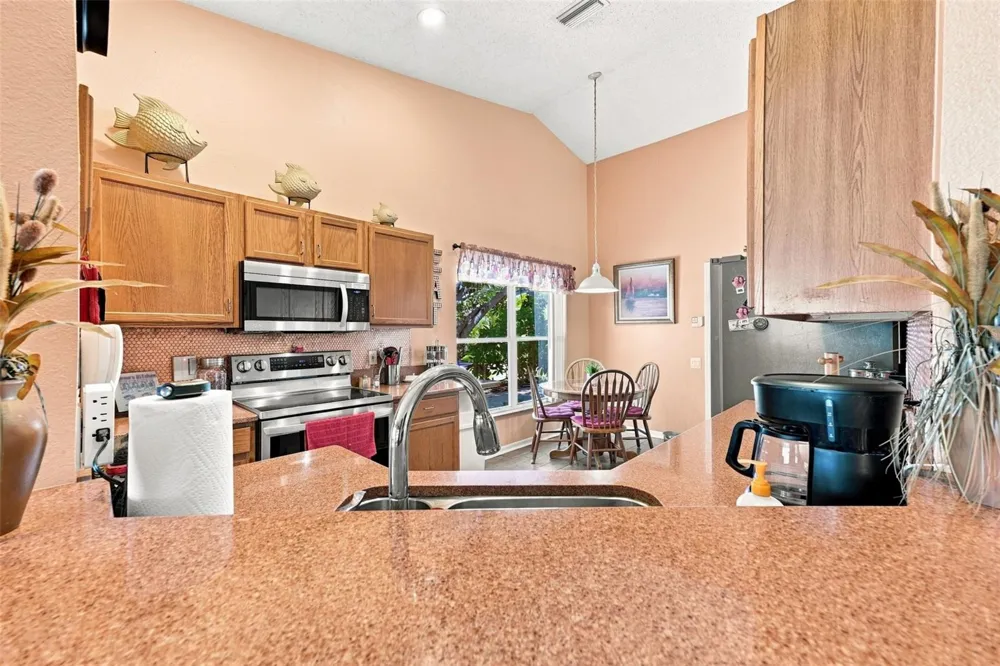 207 LAKEWAY LANE Apollo Beach, FL 33572