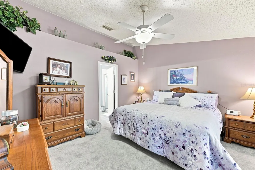 207 LAKEWAY LANE Apollo Beach, FL 33572