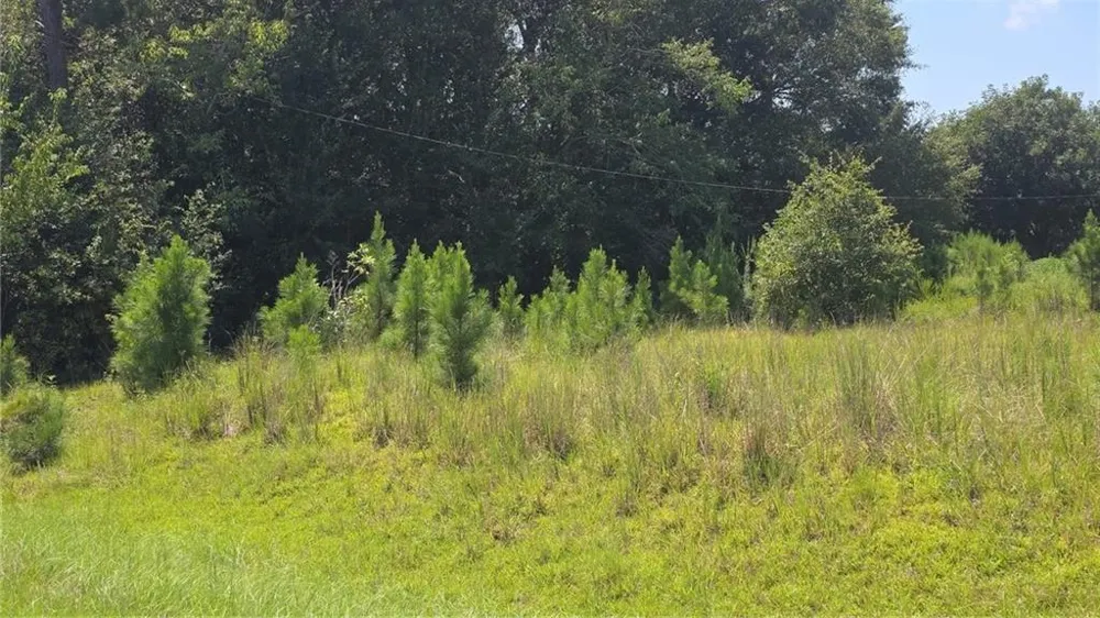 159 Grimsley Road Colquitt, GA 39837