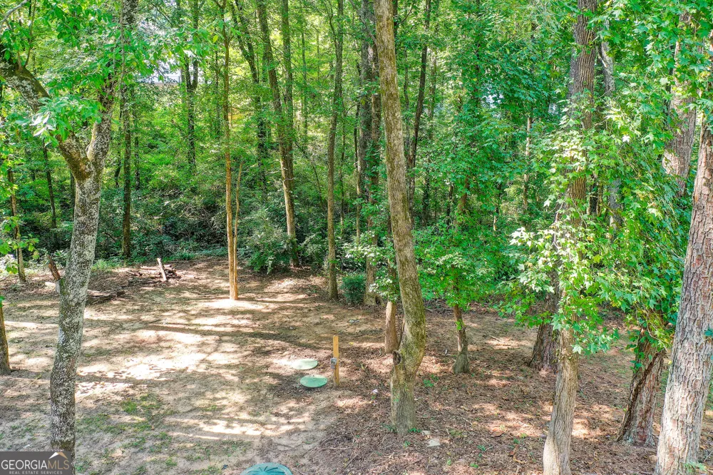 56 Montpelier PL Sharpsburg, GA 30277