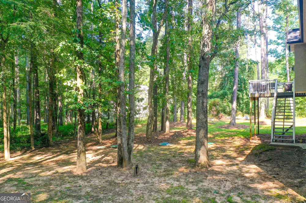 56 Montpelier PL Sharpsburg, GA 30277